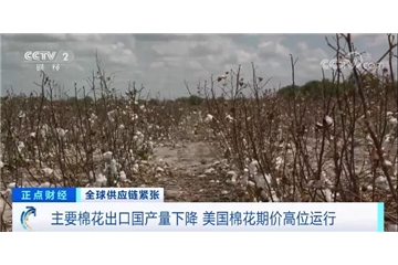 央視調(diào)查：棉花大漲！服裝訂單量下滑，外貿(mào)企業(yè)面臨“三座大山”